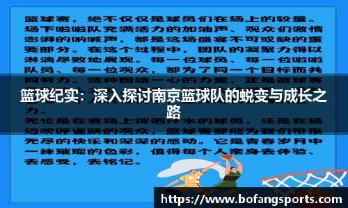 篮球纪实:深入探讨南京篮球队的蜕变与成长之路